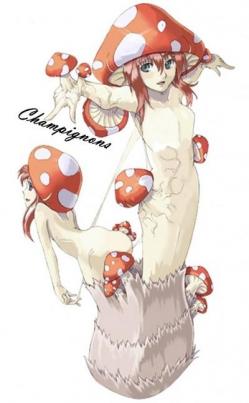 Champignons