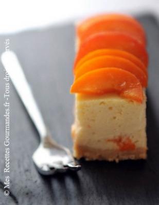 cheescake-au-chocolat-blanc-et-abricots