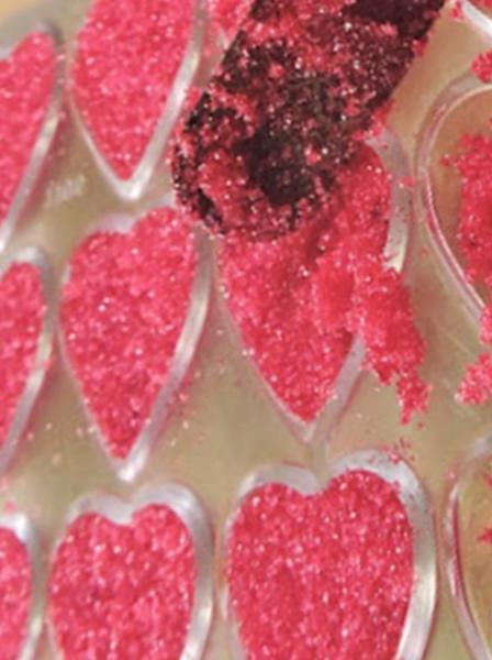 Coeurs en sucre pour la saint valentin20160209