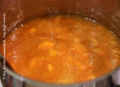 confiture-d-abricots