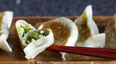 Gyoza vegetariens20152603