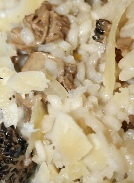 Risotto aux morilles20150421