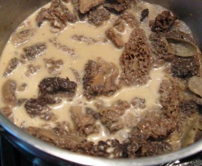 Sauce aux morilles2007