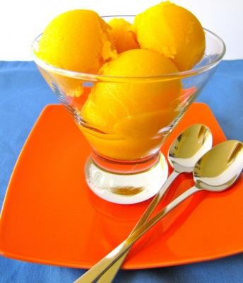 Sorbet a la mangue 2011