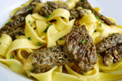 Tagliatelle aux morilles2014