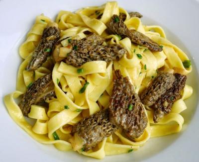 Tagliatelle2014morilles